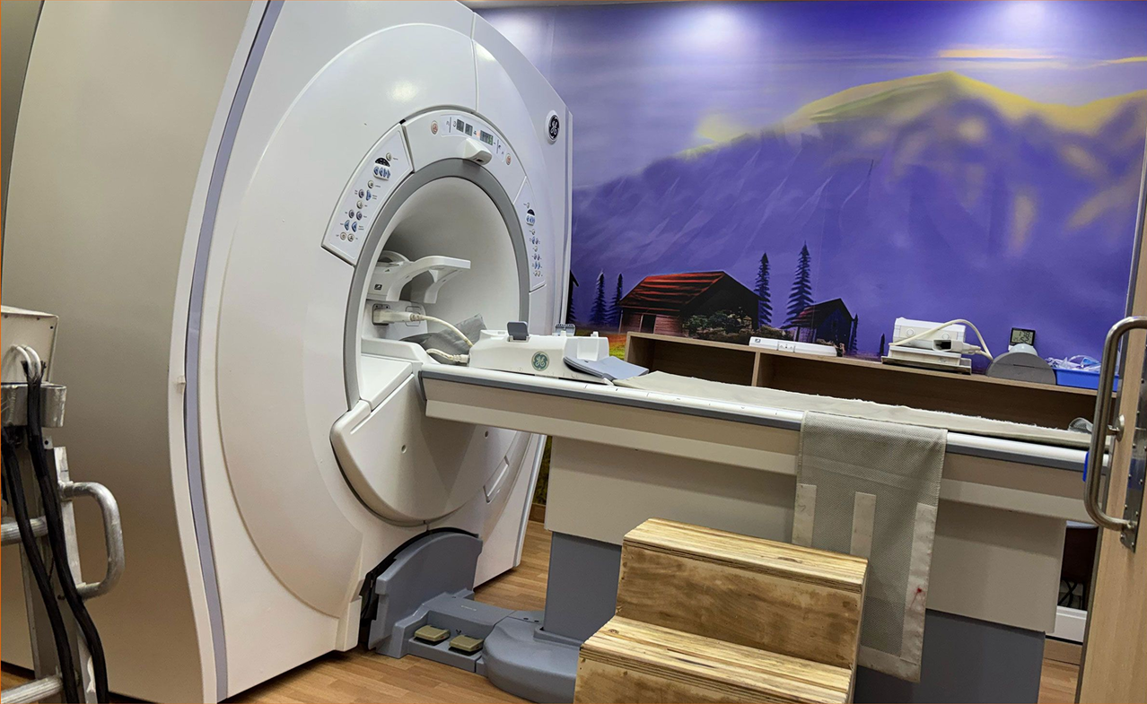 Medical Equipment